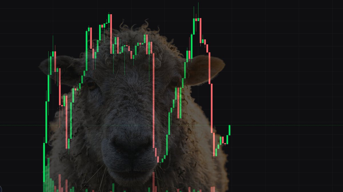 Sheepcoin tweet media