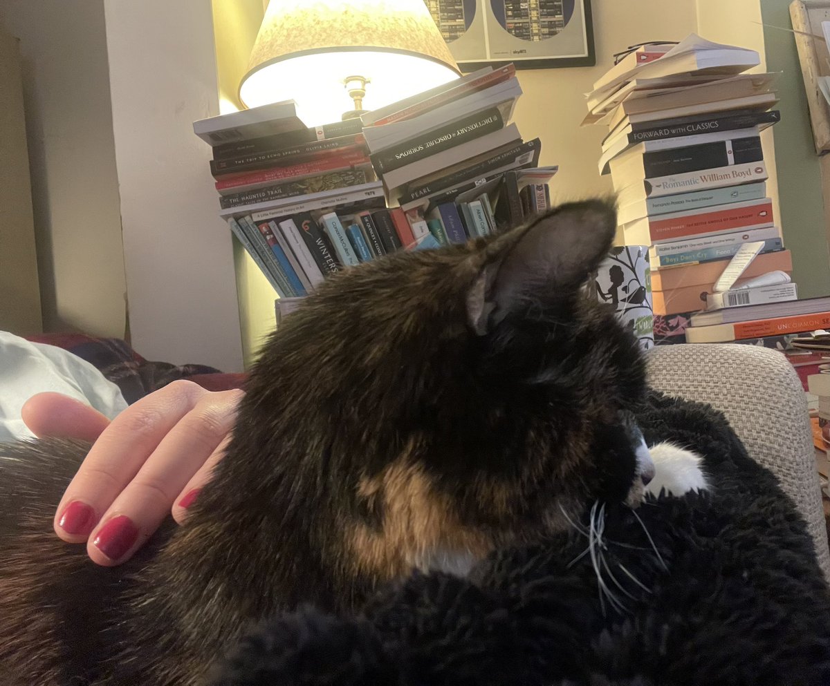 Claire Stoneman tweet media