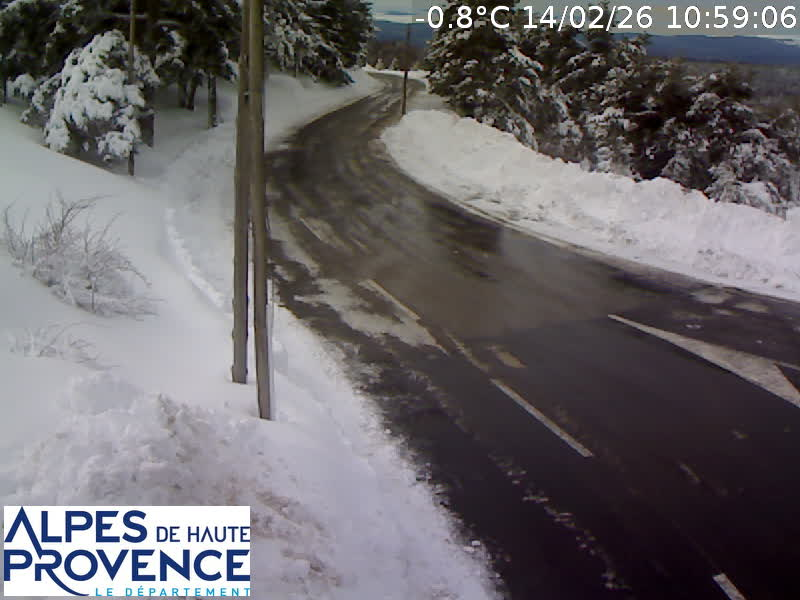 Jordan Decker tweet media