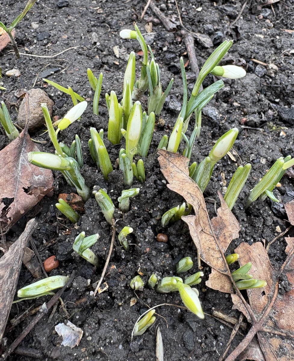 #katowice #wiosna chyba już czas?