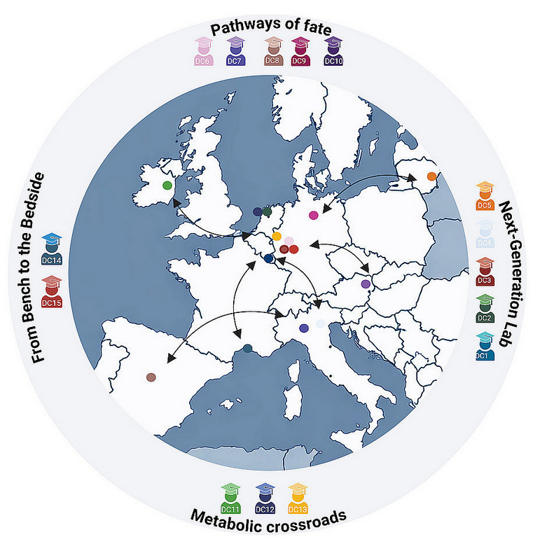 David Sancho tweet media