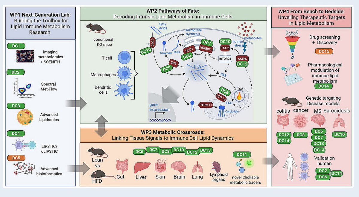 David Sancho tweet media