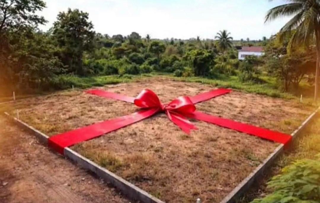 This could have been your Valentine gift, but you have bad character.