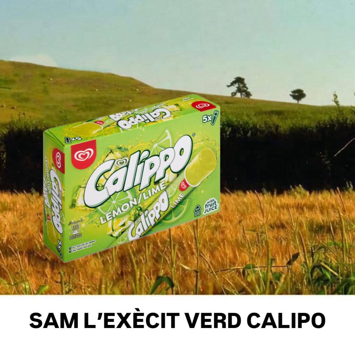 Bergants CT tweet media