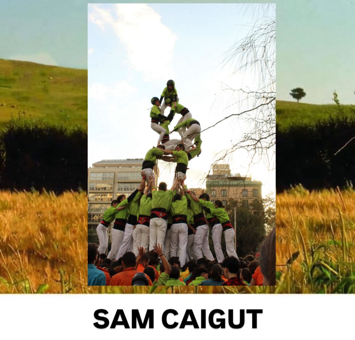 Bergants CT tweet media