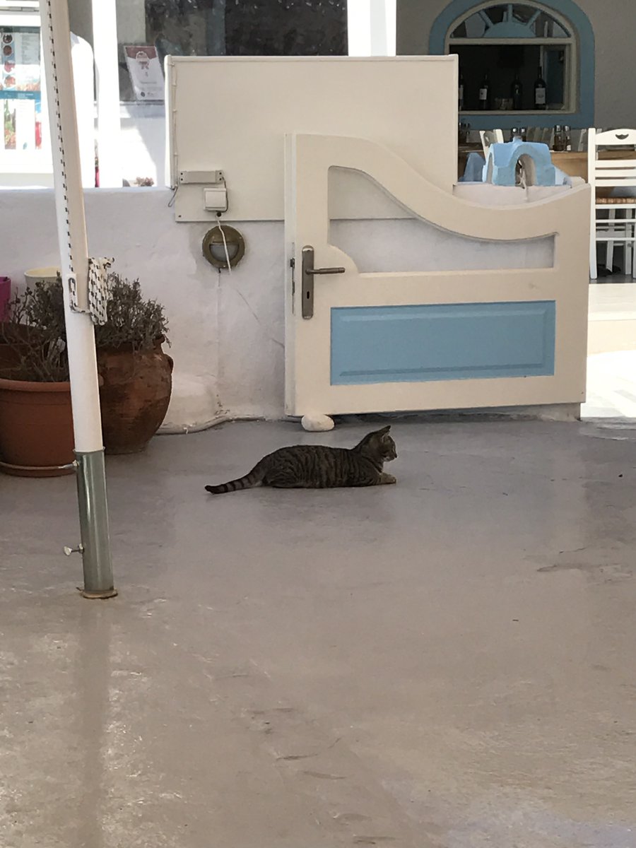 サントリーニ島は大部分がギリシャ正教（東方教会）を信仰しており、島内には白壁に青いドームの教会が数多く点在しています。この青と白の色彩は、空と海、そしてギリシャ国旗を表す聖なる色として、宗教的・歴史的な意義を持つ景観です。