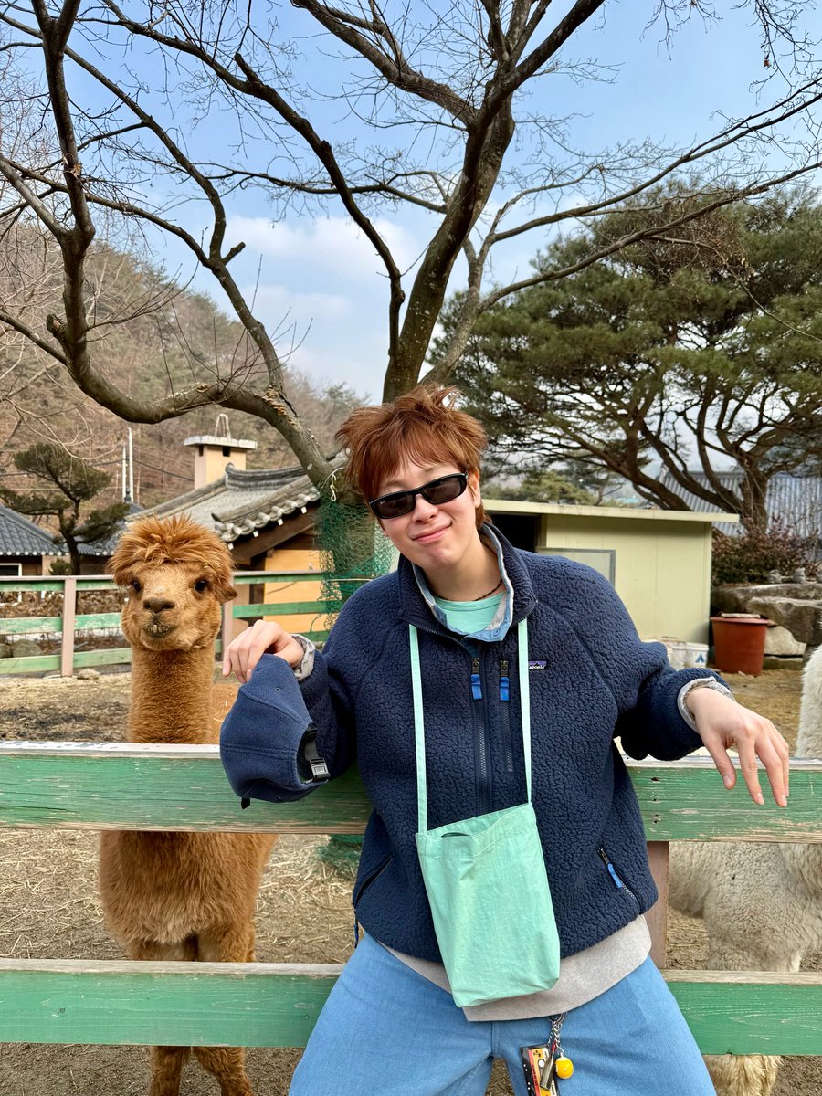 푸하하하하하하 서로 나 따라했다고 생각할듯