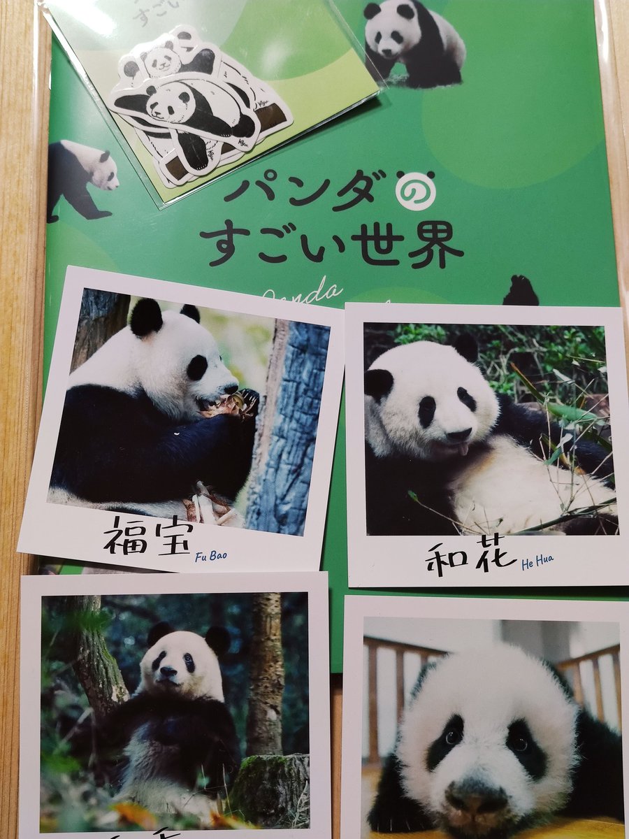 本日も見に行ってチェキ風カード4枚揃った😆 #パンダのすごい世界