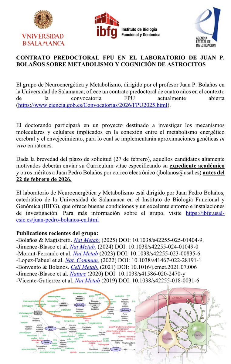 María A. Moro tweet media