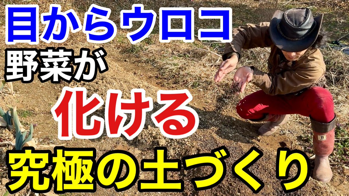 masterKahmen's tweet photo. 土づくりもう迷わない

たったこれだけで畑の土がみるみる良くなります　↓
https://t.co/lWlW5tyoLs https://t.co/vCz4HxpBUY