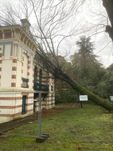 Lucius Gellius Publicola 🏺 tweet media