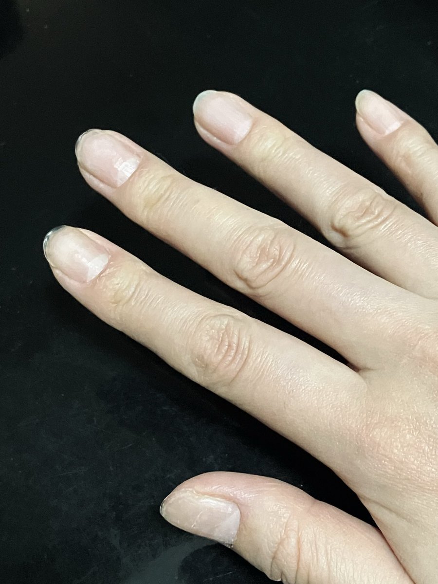 ぽけ氏 tweet media