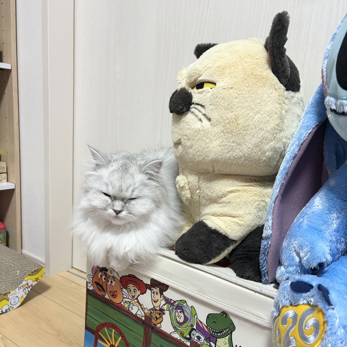 くるみちゃんまた可愛いところにいる〜正面から撮りたい！と思って正面