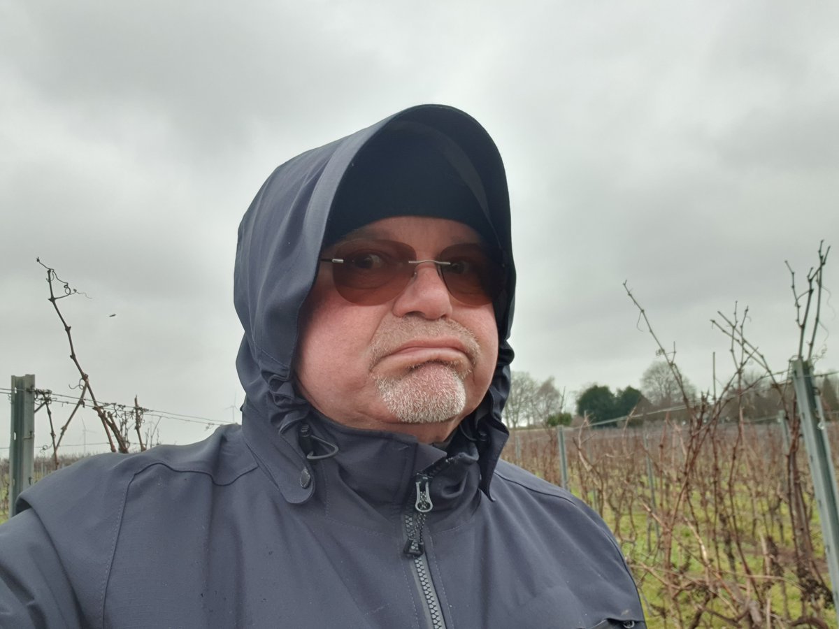 Ed vom Knopf  tweet media