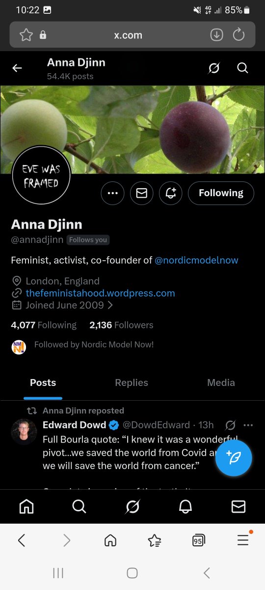 Anna Gurevitch tweet media