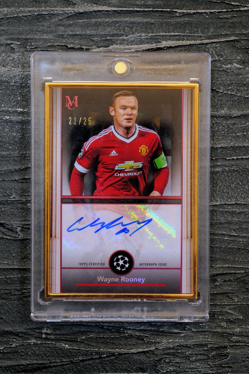 ポケルニ (@QvJb1adIGk5zA5X) / Posts / X