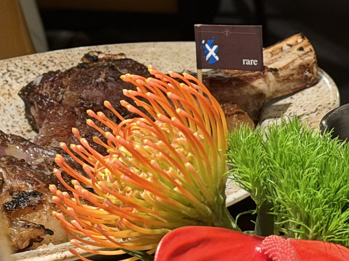 TaniDaReal tweet media