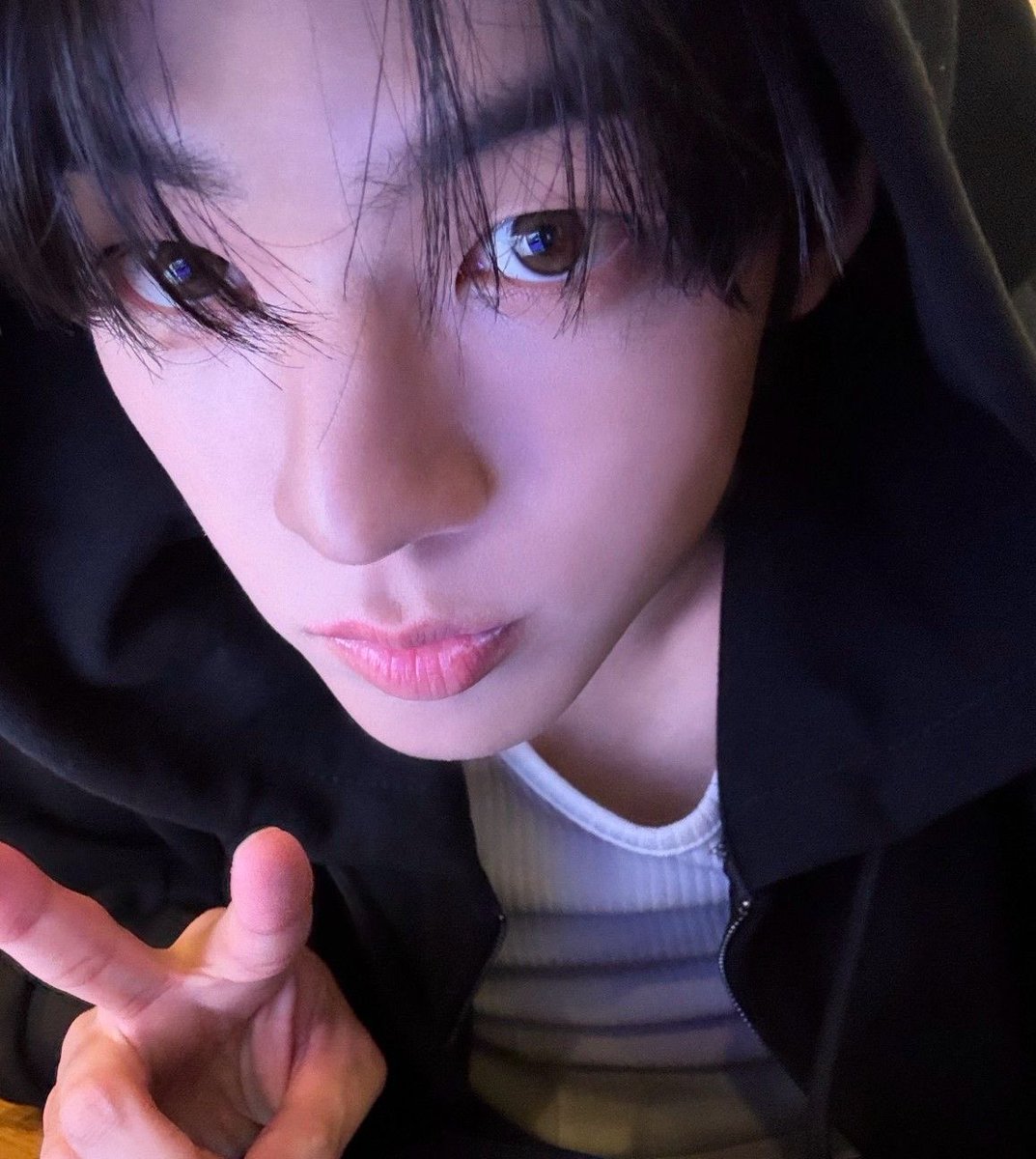 아카이브 tweet media