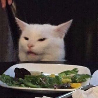 felixsrightarmm's tweet photo. the freaking cat sticker😭😭😭😭 https://t.co/sOAHQbhLB2