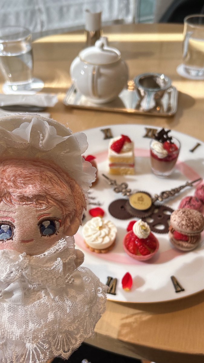 酢酸オルセイン tweet media