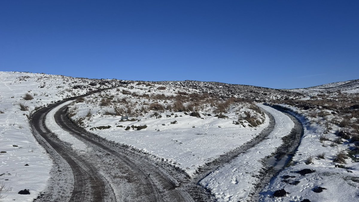 The #OffGrid Gardener tweet media