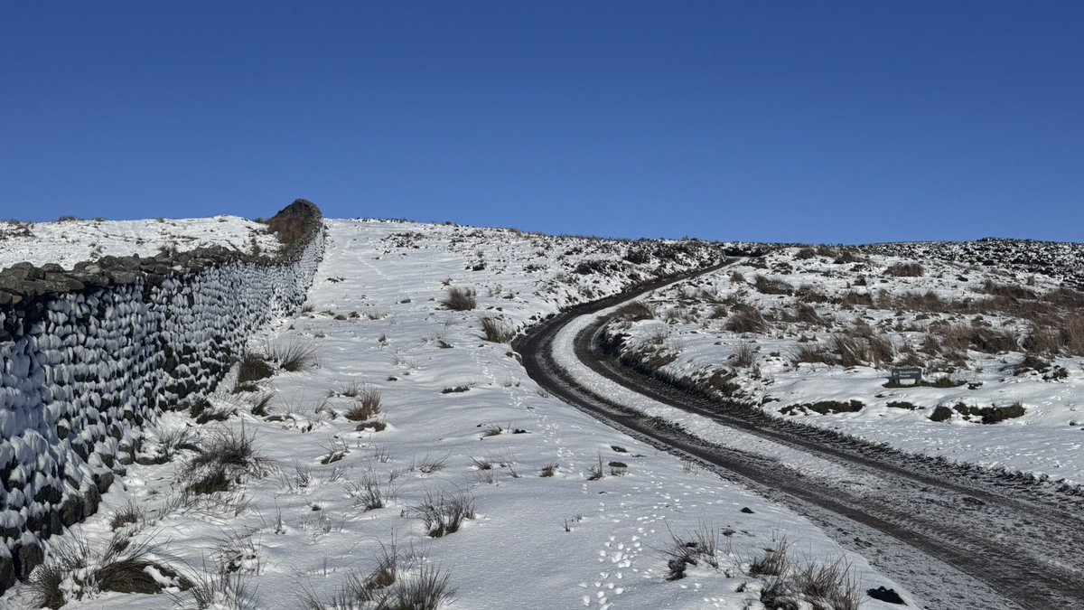 The #OffGrid Gardener tweet media