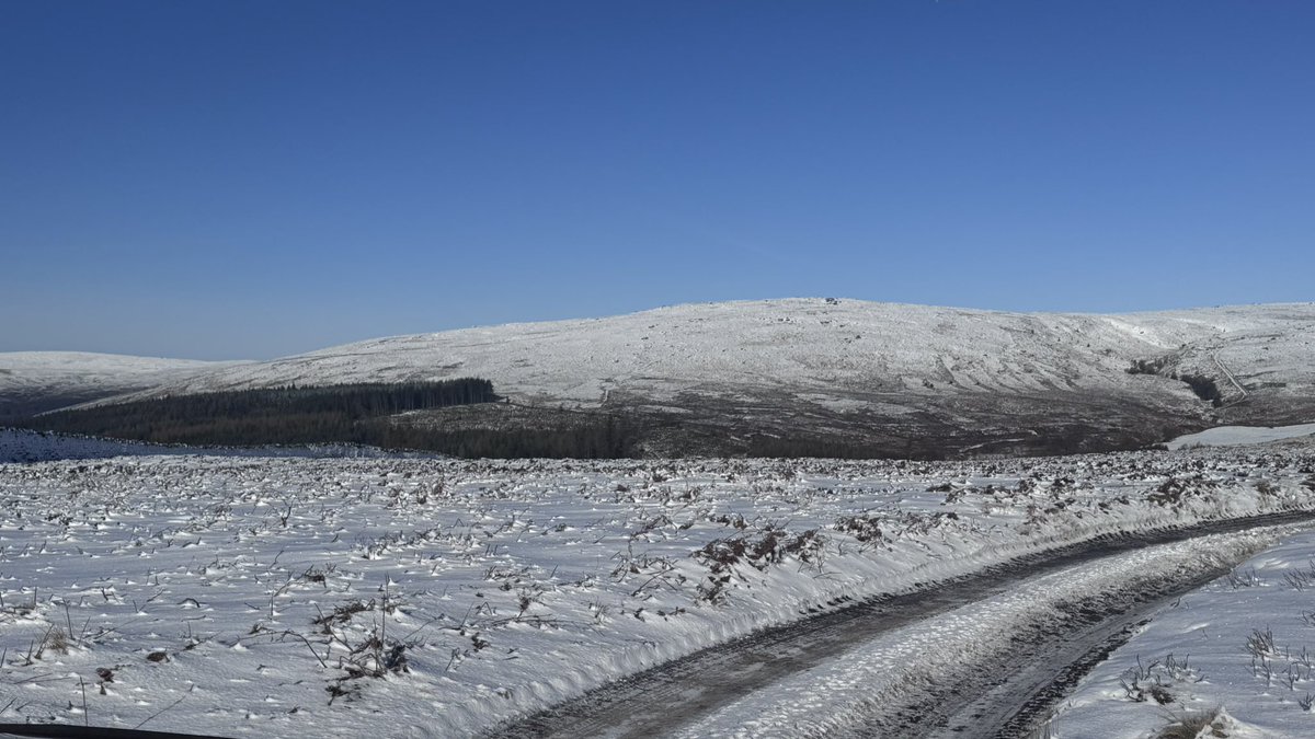 The #OffGrid Gardener tweet media