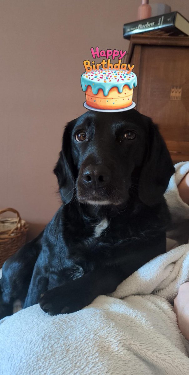 The Bench Report tweet media