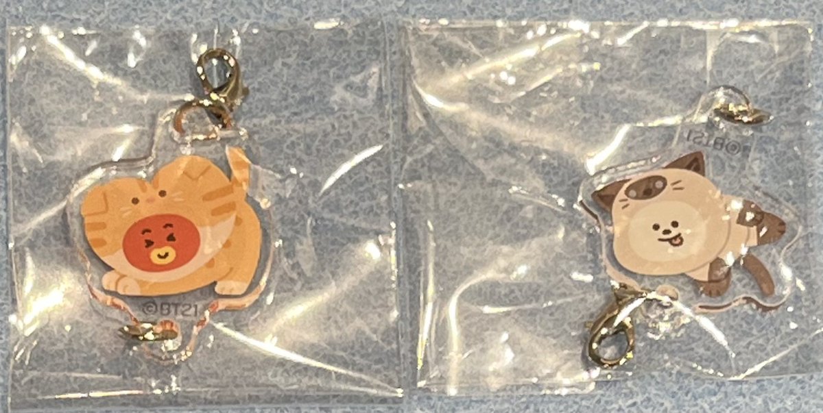 BT21 CAT DAY つながるアクリルチャーム 交換 譲) 画像のもの 求) 異種