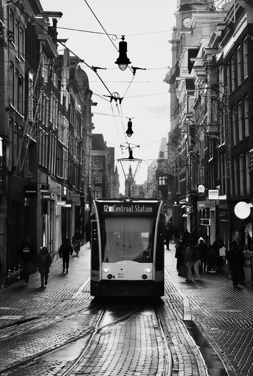 Fidel Amos ⟁ tweet media