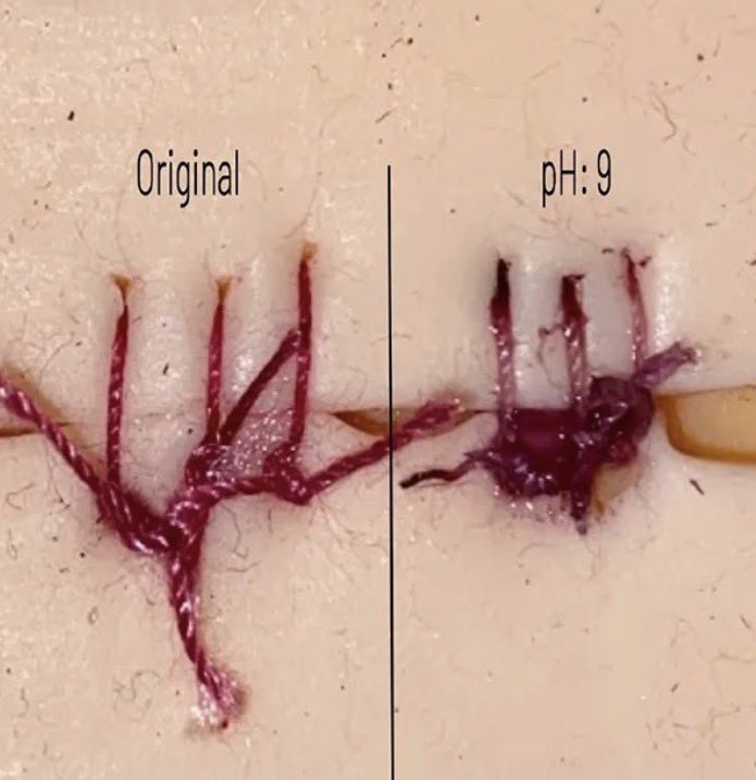 Simulator di tutti i Simulatori tweet media