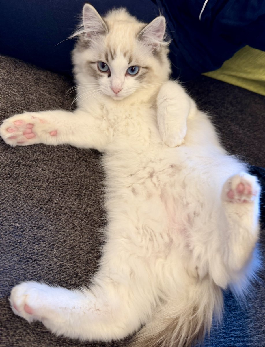 dtak1114 tweet media