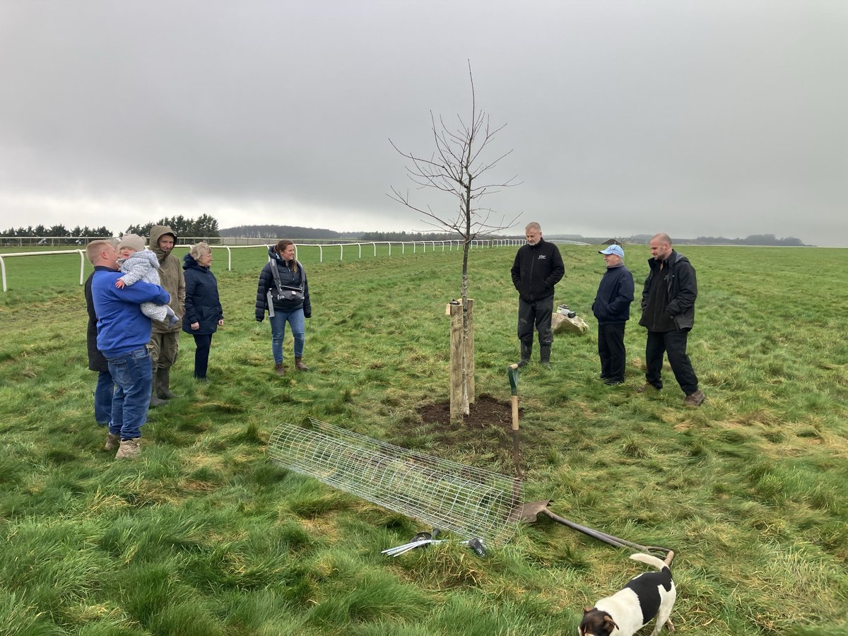 Lambourn Gallops tweet media