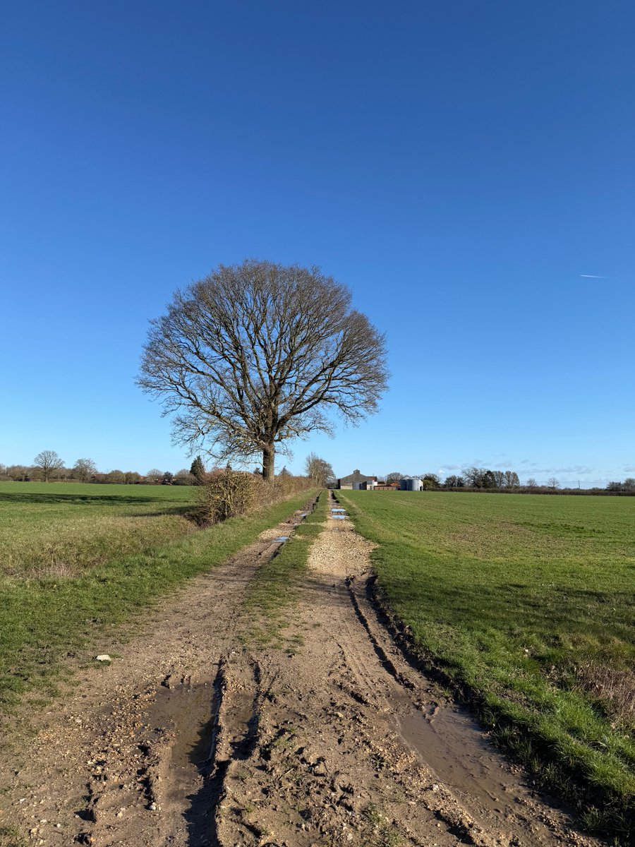 therealianbrown tweet media