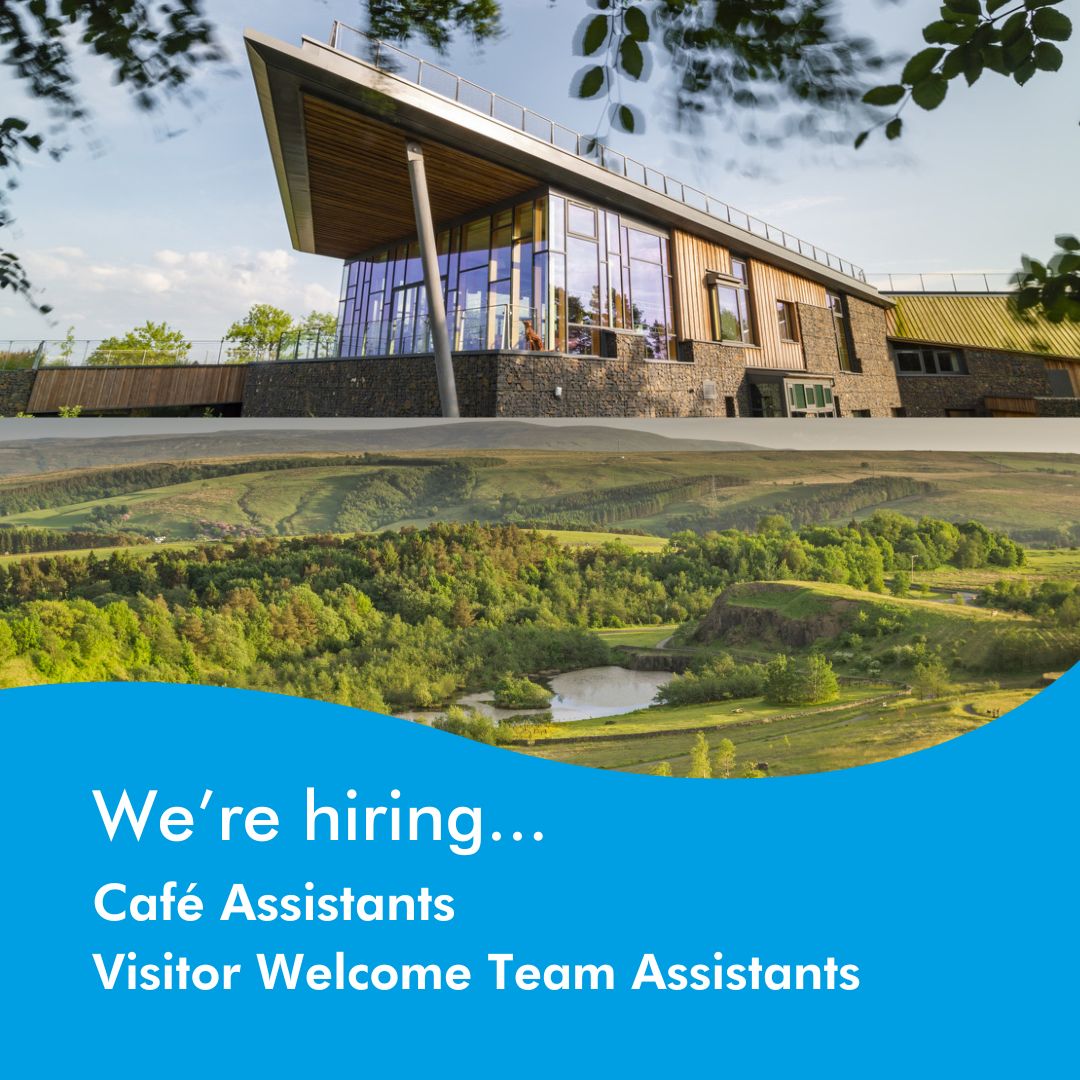 N'land National Park tweet media