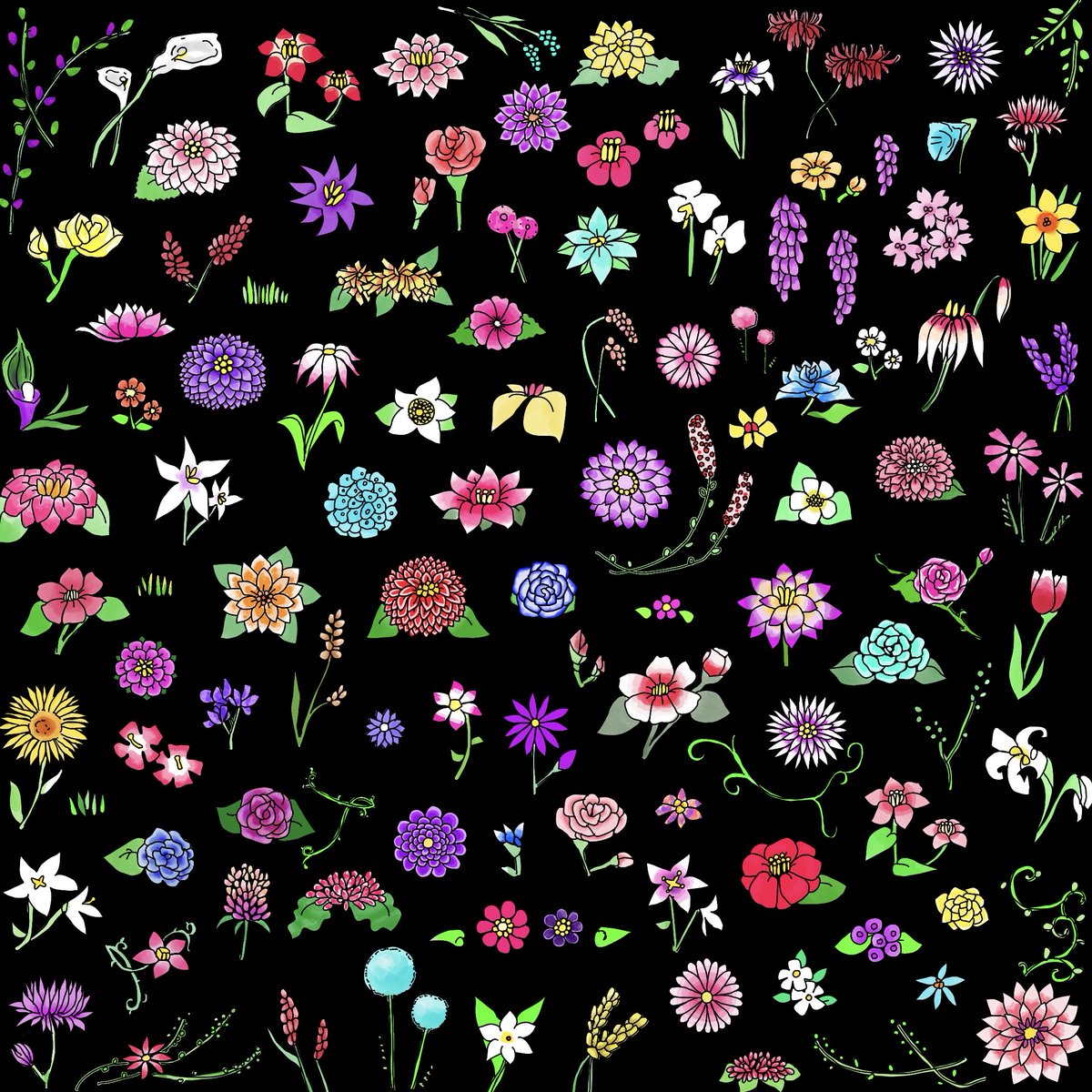 『夜華図01 NOIR（黒）』
艶やかにひらく、夜の花園。

タオルハンカチ
約20cm × 20cm
表:マイクロファイバー
裏:コットン100%

予約販売
受付期間 2/14〜2/21
発送予定 3月初旬

カラー／モノクロ

各1枚         1000円（送料込）
2枚セット  1800円（送料込）