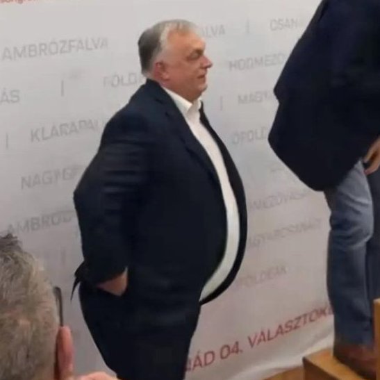 Noéla 🐾 🇭🇺 🥀👽😇 tweet media