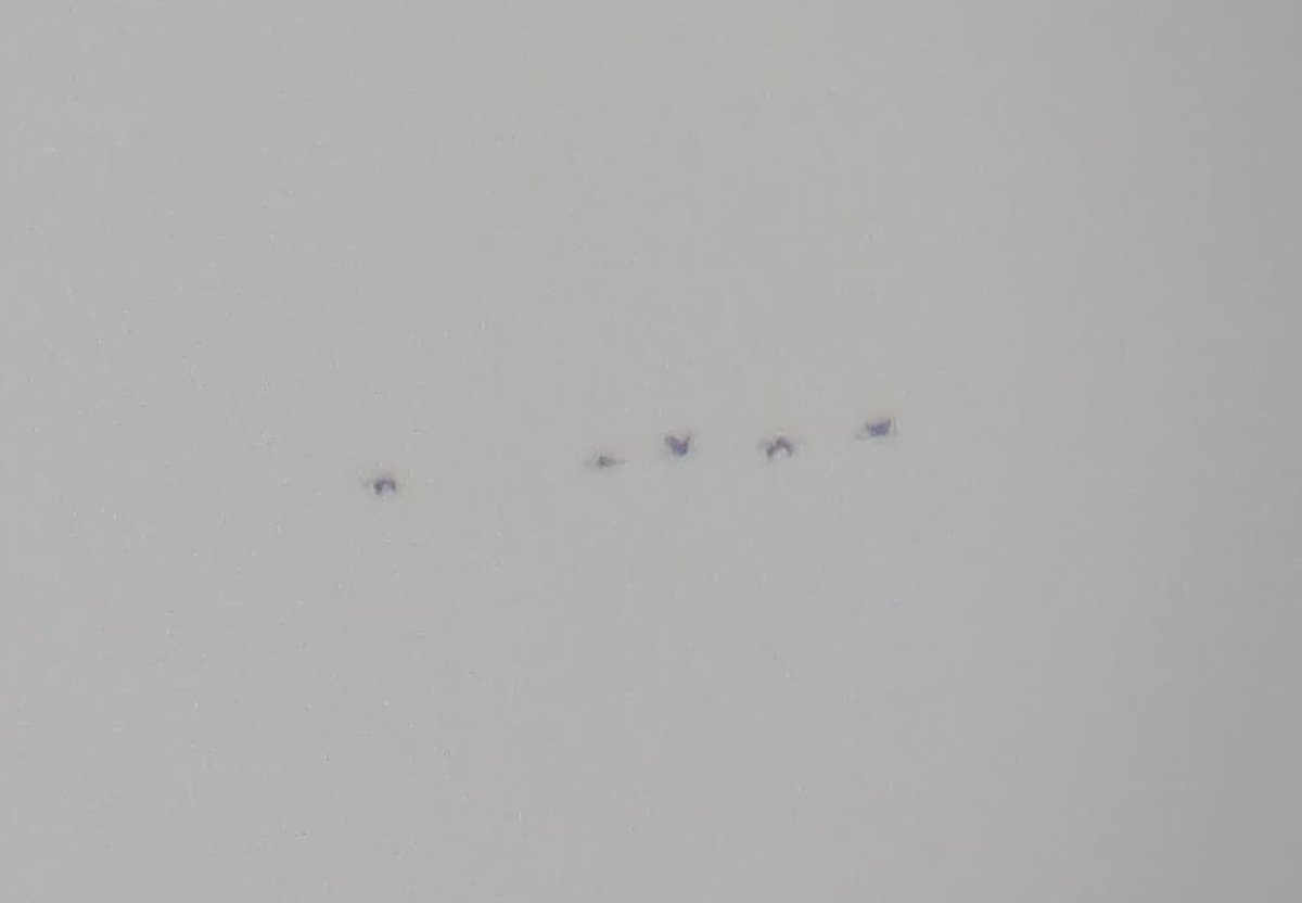 Daniel Langston tweet media