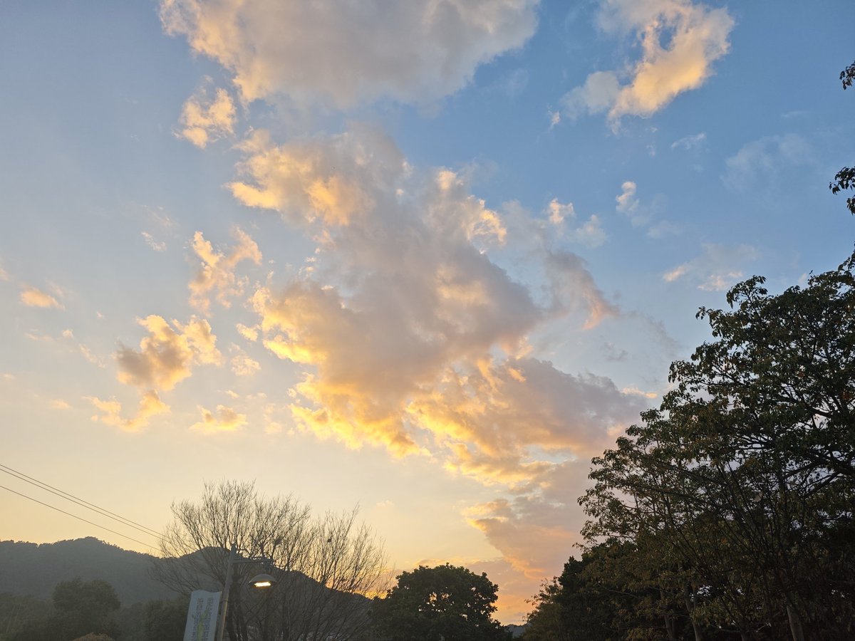 白简简. tweet media