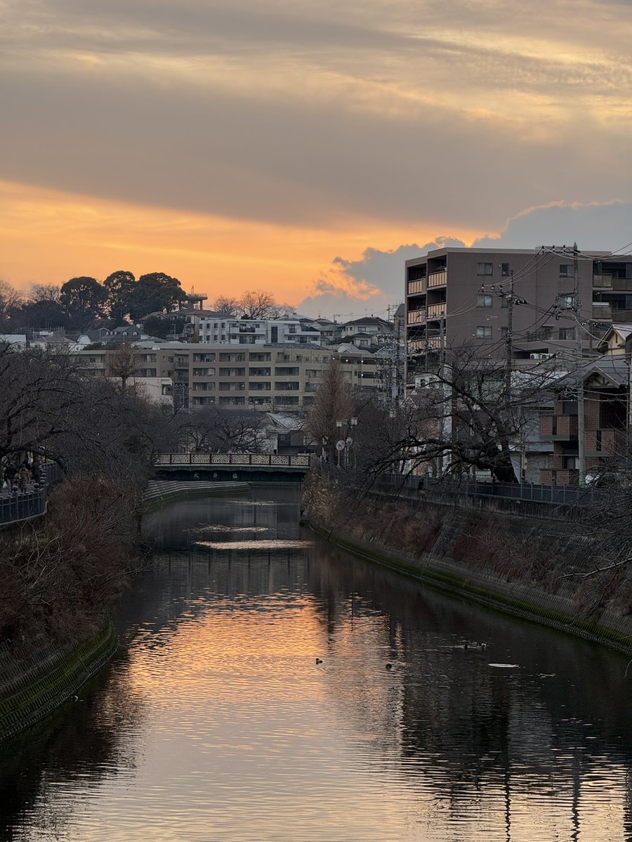 잔잔 (@jaan_owo) on Twitter photo 