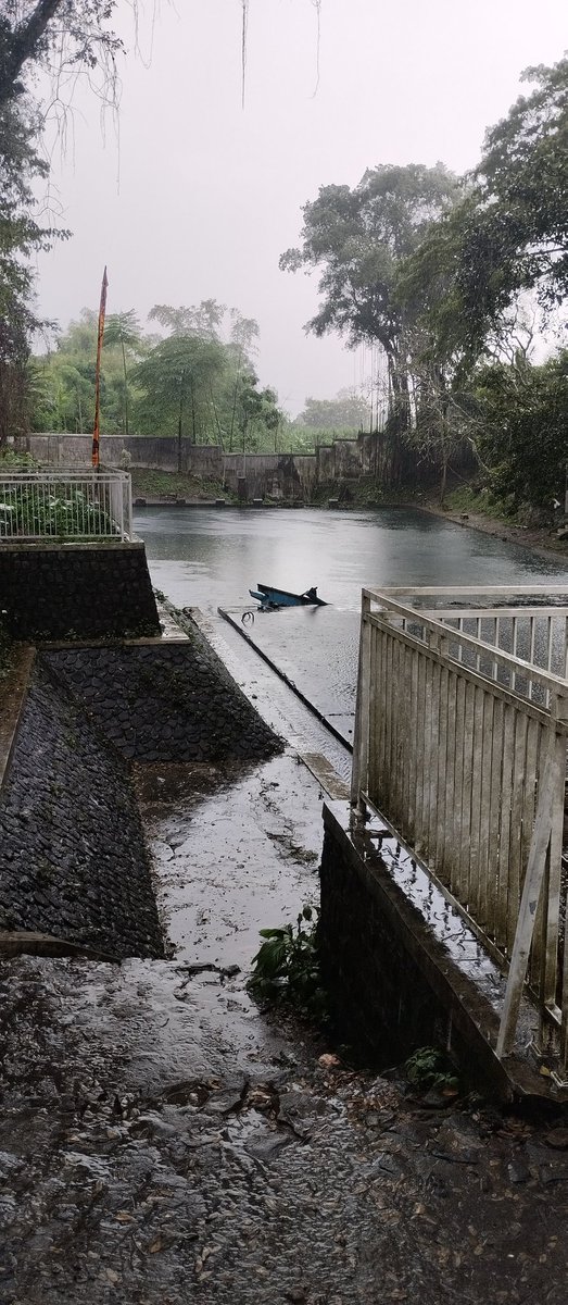 tvpebstrd tweet media