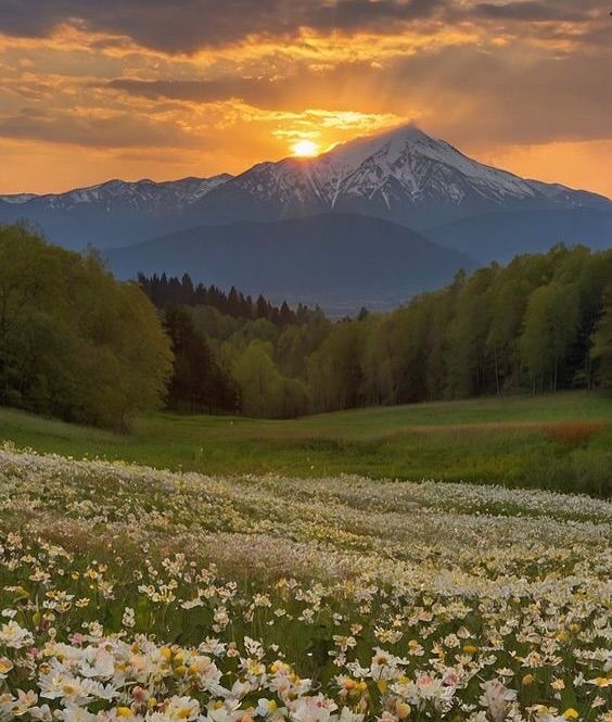 Good evening X family