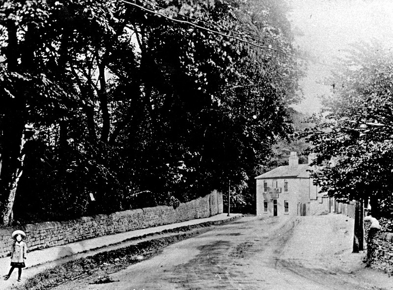 Alastair Wright tweet media