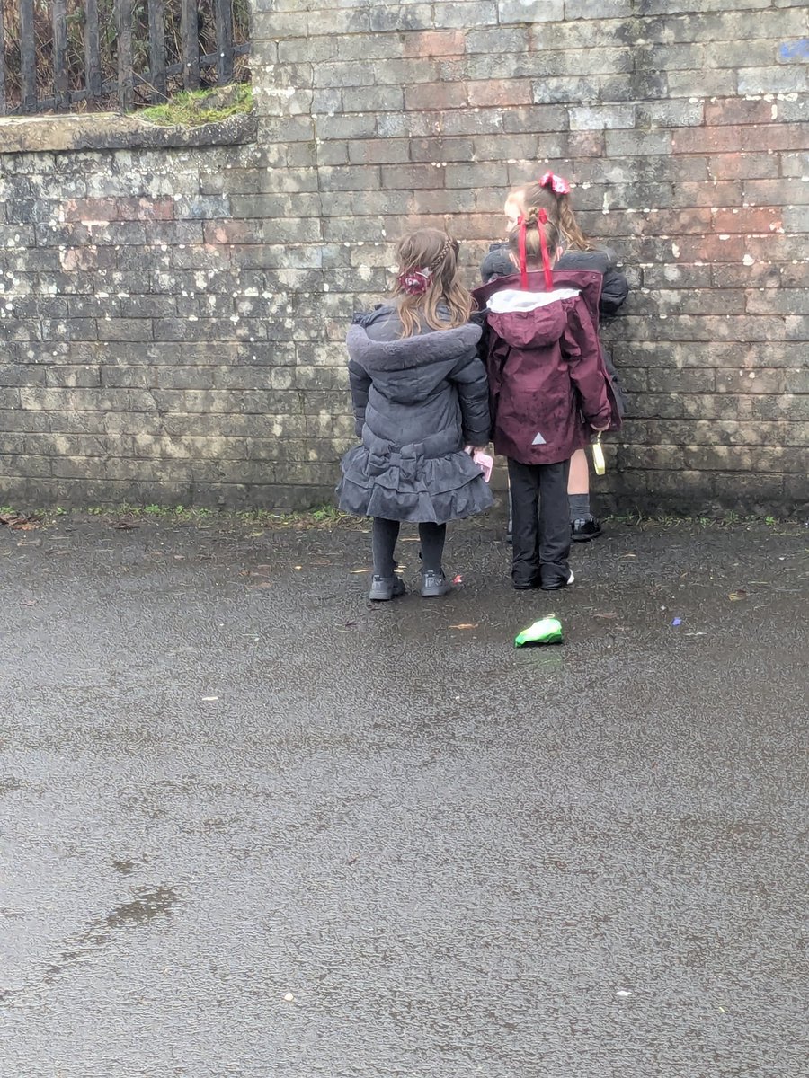 Mrs Moses tweet media