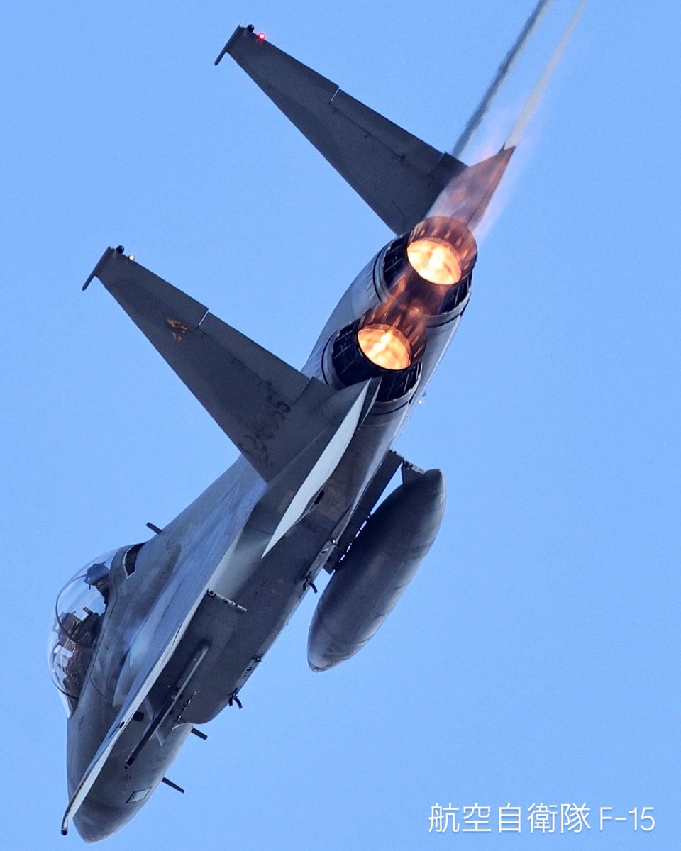 航空自衛隊F-15