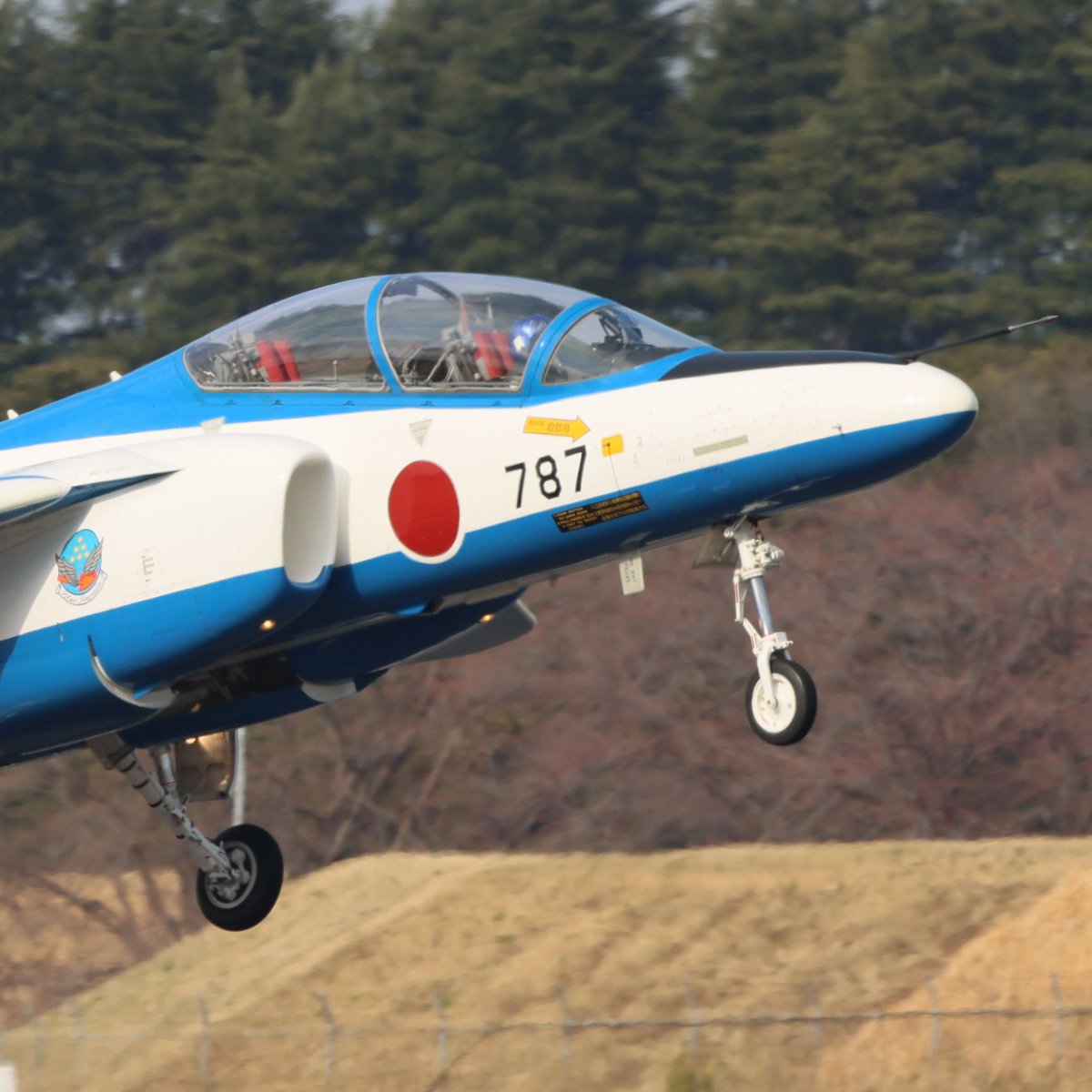 航空自衛隊
ブルーインパルス