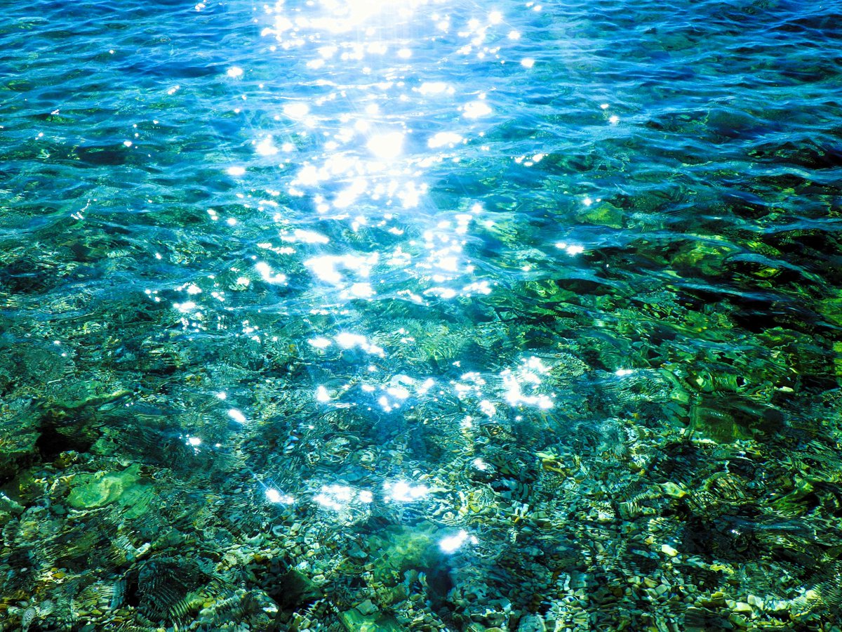 けんさん💛旅する写真家💚ありがとう魔法のカウンセラー🪄✨💫🌟 tweet media