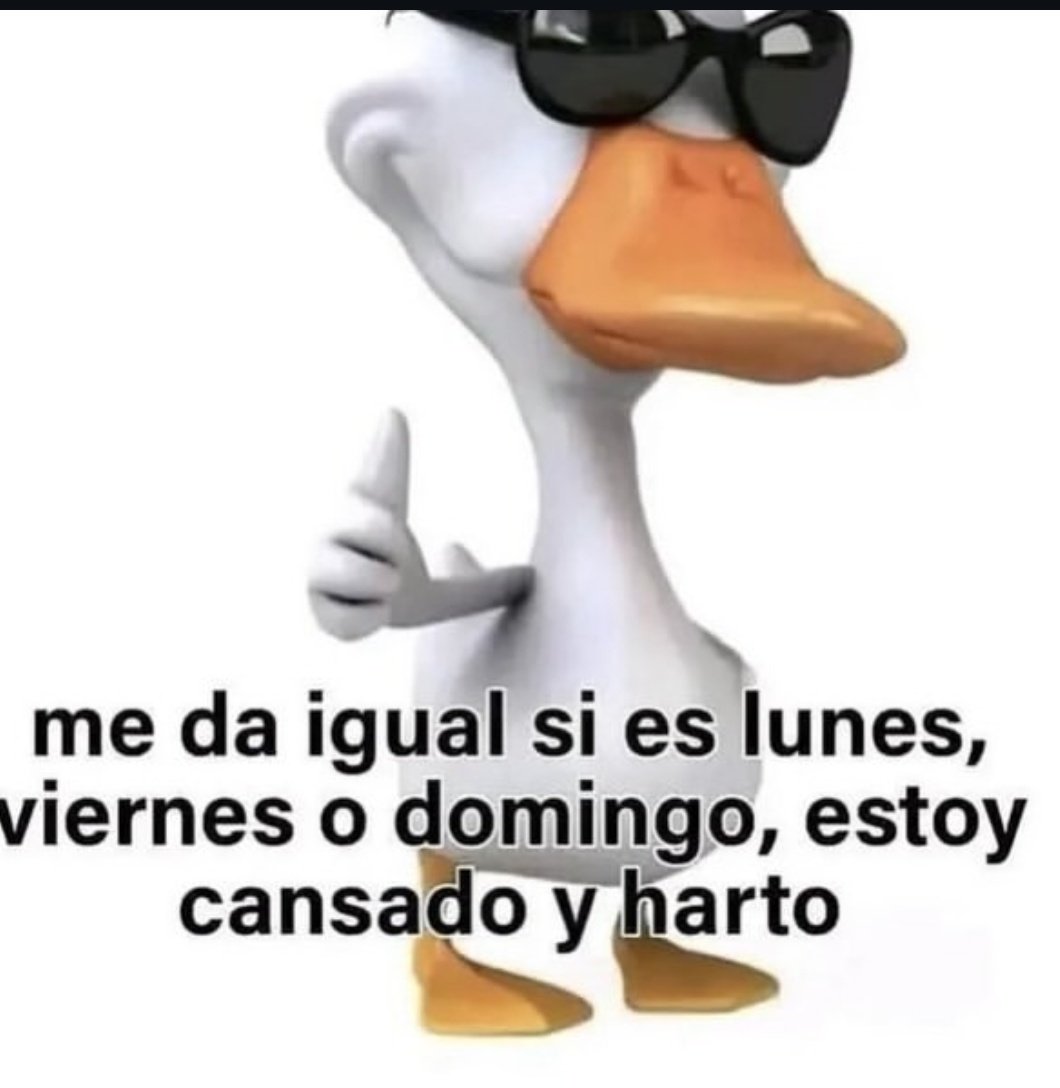 Lucian tweet media