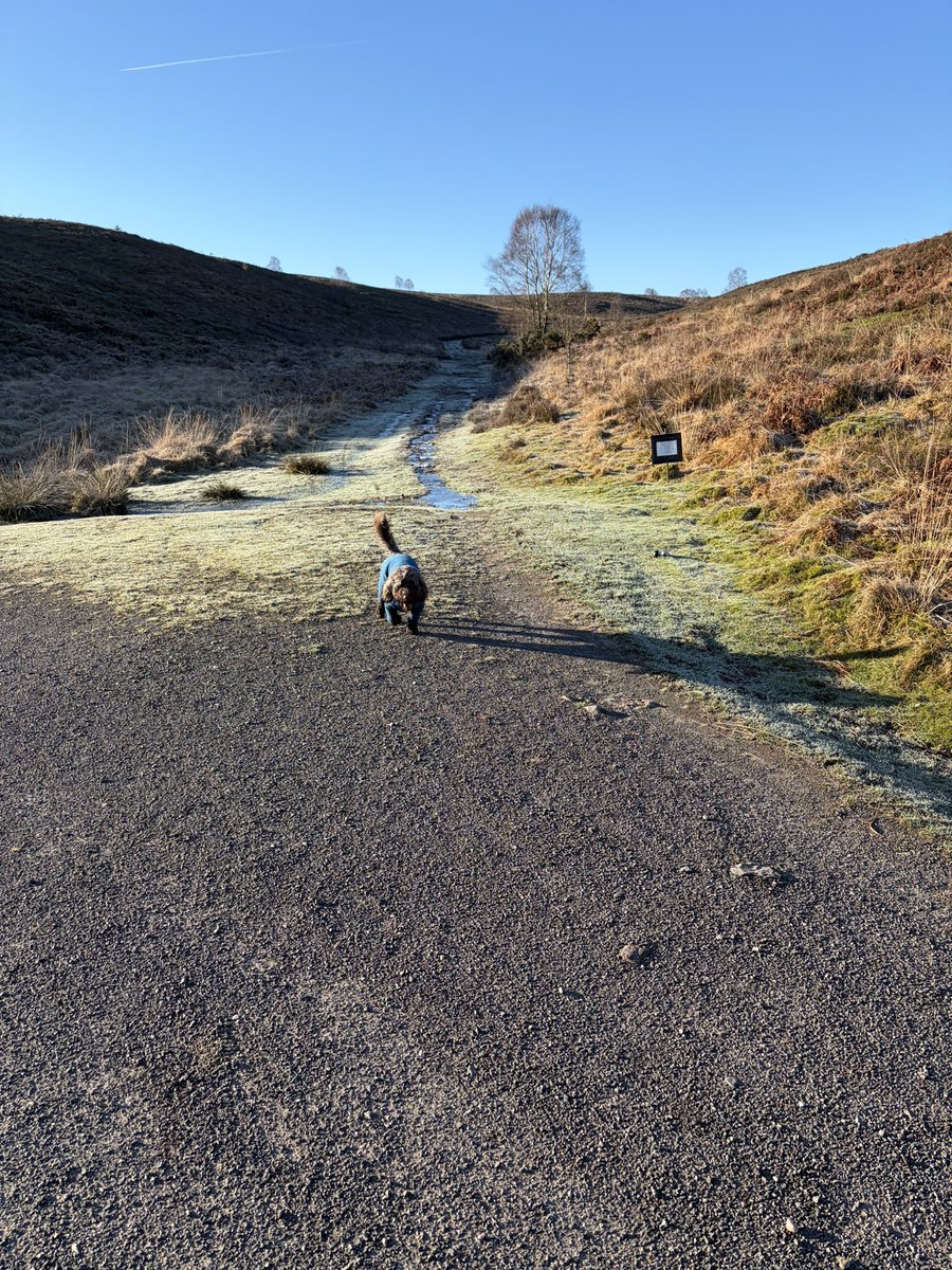 John Carter tweet media