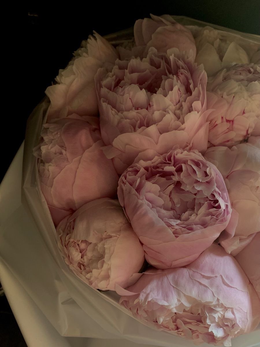 [ อย่างไรเสีย…
ไม่ช้าข้าก็คงไปดื่มไวน์ในตำหนักของท่านอยู่ดีนั่นแล ]

[ แต่ก่อนจะถึงตอนนั้น—ดูนี่ก่อน ]

พูดจบก็ขยับตัว ก้าวหนึ่ง ก้าวสอง ก่อนจะกระโดดดึ๋งดั๋งเล็กน้อยอย่างกลั้นความตื่นเต้นไม่อยู่ แล้วดึงมือที่ซ่อนอยู่ด้านหลังออกมา ยื่นช่อโบตั๋นไปตรงหน้าทูเลนอย่างภาคภูมิ